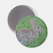 Kaninchenmagnet Magnet (Vorderseite/Rückseite)
