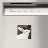 Kaninchenmagnet Magnet (In Situ (Geschirrspüler))