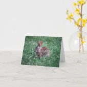 Kaninchennotecard Karte (Gelbe Blume)