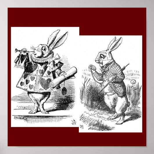 Kaninchenplakat Poster (Vorne)