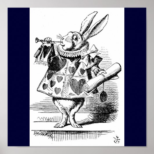 Kaninchenplakat Poster (Vorne)