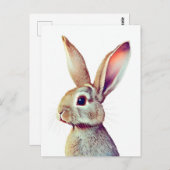 Kaninchenportrait 022 postkarte (Vorne/Hinten)