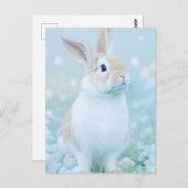 Kaninchenportrait 095 postkarte (Vorne/Hinten)