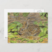 Kaninchenpost Postkarte (Vorne/Hinten)