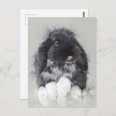 Kaninchenpostkarte Nr. 32 Postkarte (Vorne/Hinten)