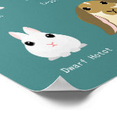 Kaninchenrassen Poster (Ecke)