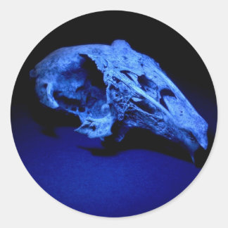 Kaninchenschädel - Set von 20 Aufklebern Runder Aufkleber