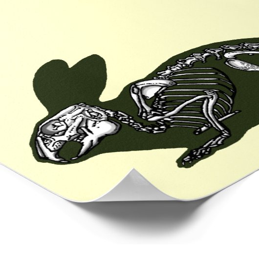 Kaninchenskelett Poster (Ecke)