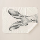 Kaninchenstift Gezeichnet Sherpadecke (Vorderseite (Horizontal))