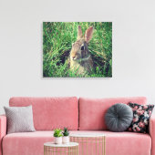 Kaninchenwerbung Leinwanddruck (Insitu (Wohnzimmer))