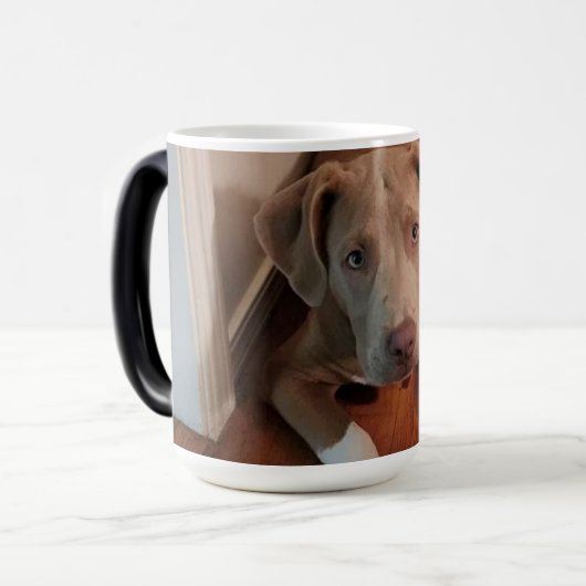 Kanine Verwandlungstasse (Vorderseite Links)