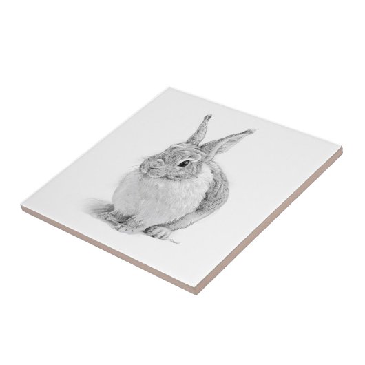 Kaninentag Fliese (Seite)