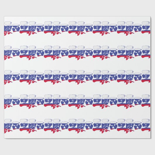 [Kanji] Russland Geschenkpapier (Flach)