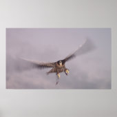 Kann den Donner nicht aufhalten... Poster (Vorne)