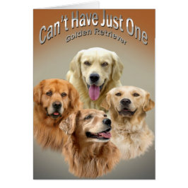 Kann die gerade ein golden retriever-Karten nicht