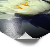 Kann Frieden mit Ihnen Lotus Inspiration 8x8 Fotodruck (Ecke)