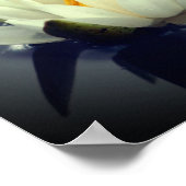 Kann Frieden mit Ihnen Lotus Inspiration sein Poster (Ecke)