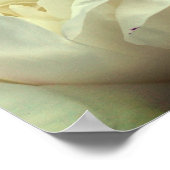 Kann Frieden mit Ihnen Pepper Inspiration Poster (Ecke)