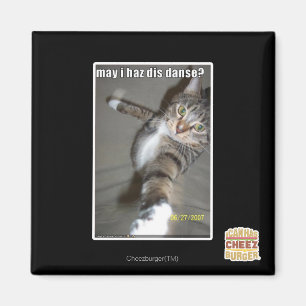 kann I haz DIS tanzen? Magnet