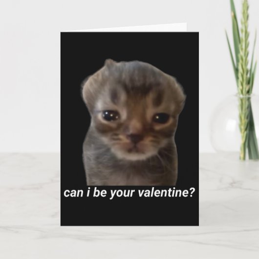 Kann ich dein Valentin sein lustiges Katzen-Meme B Karte (Vorderseite)