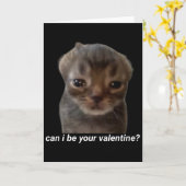 Kann ich dein Valentin sein lustiges Katzen-Meme B Karte (Gelbe Blume)