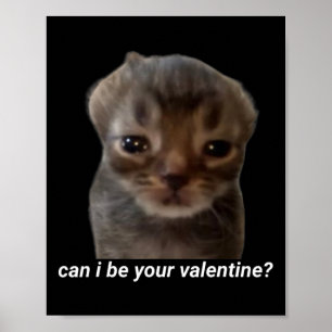 Kann ich dein Valentinstag lustige Katze Meme Brai Poster