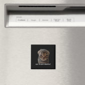 Kann ich deine Valentine Funny Cat Meme Brainrot G Magnet (In Situ (Geschirrspüler))