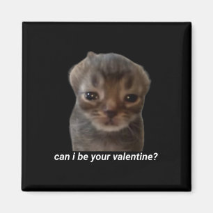 Kann ich deine Valentine Funny Cat Meme Brainrot G Magnet