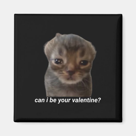 Kann ich deine Valentine Funny Cat Meme Brainrot G Magnet (Vorne)