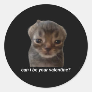 Kann ich deine Valentine Funny Cat Meme Brainrot G Runder Aufkleber