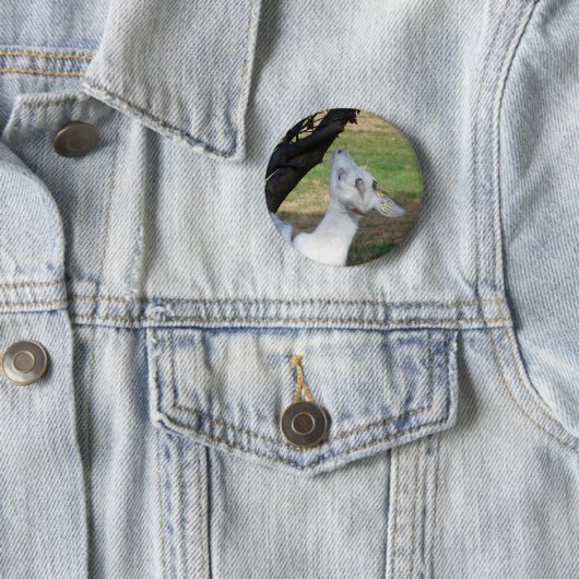 Kann ich diesen Baum klettern? Button (Beispiel)