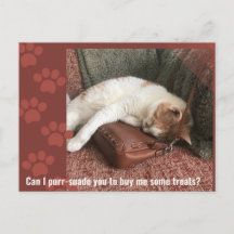 Kann ich dir ein Niedliches Cat Puzzle zureden?