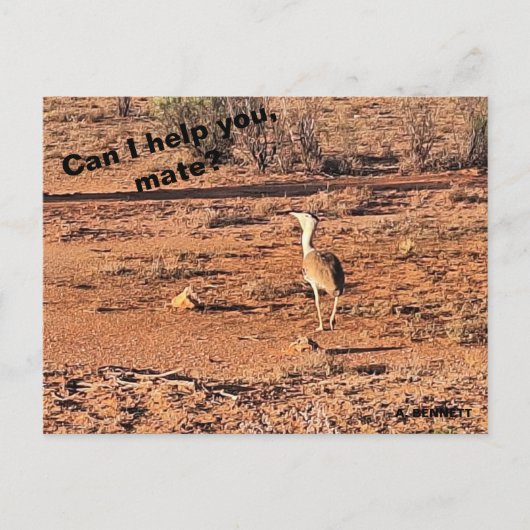 Kann ich dir helfen, Kumpel? Postkarte (Vorderseite)