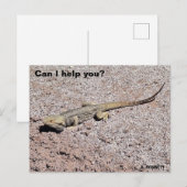 Kann ich dir helfen? postkarte (Vorne/Hinten)