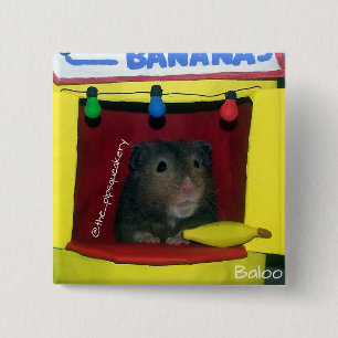 Kann ich Ihnen helfen? Button