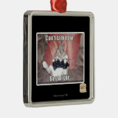 Kann jetzt nicht reden, Boss-Kampf. Silbernes Ornament (Rechts)