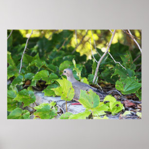 Kann mich nicht sehen poster