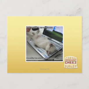 Kann nicht antworten postkarte