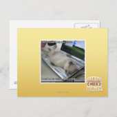 Kann nicht antworten postkarte (Vorne/Hinten)