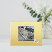 Kann nicht antworten postkarte (Stehend Vorderseite)