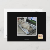 Kann nicht antworten postkarte (Vorne/Hinten)