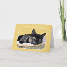 Kann nicht aufhören, über dich Tortoiseshell Cat n Karte