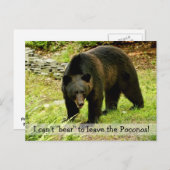 Kann nicht "Bären", um Poconos Postkarte Verlassen (Vorne/Hinten)