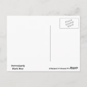 Kann nicht "Bären", um Poconos Postkarte Verlassen (Rückseite)