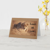 KANN NICHT GLAUBEN, DASS "SIE" "16" SIND KARTE (Gelbe Blume)