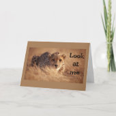 KANN NICHT GLAUBEN, DASS "SIE" "16" SIND KARTE (Vorderseite)