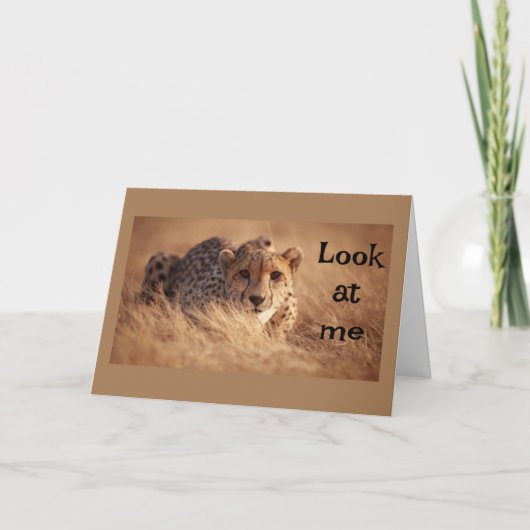 KANN NICHT GLAUBEN, DASS "SIE" "16" SIND KARTE (Vorderseite)