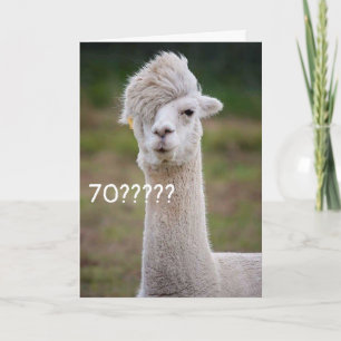KANN NICHT GLAUBEN, DASS SIE DEN "70." GEBURTSTAG  KARTE
