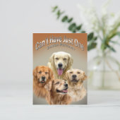 Kann nicht nur eine goldene Postkarte haben (Stehend Vorderseite)