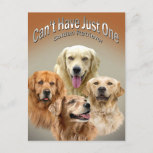 Kann nicht nur eine goldene Postkarte haben